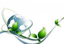 Photo of Почвенные исследования для экологии