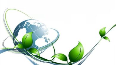 Photo of Почвенные исследования для экологии