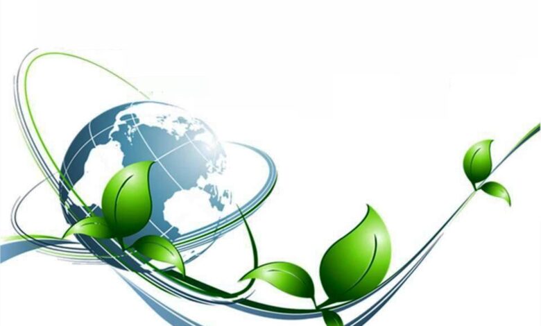 Photo of Почвенные исследования для экологии