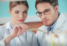 Photo of Исследование суглинковых почв