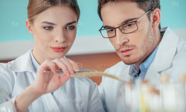 Photo of Исследование суглинковых почв