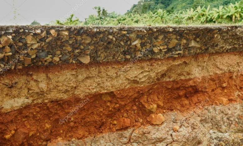 Photo of Скальные почвы: их изучение