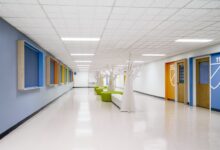 Photo of Почвенные исследования для рекреации