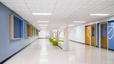 Photo of Почвенные исследования для рекреации