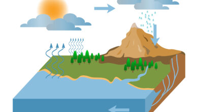 Photo of Гидрогеологические исследования территории