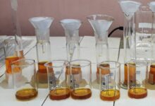 Photo of Геохимический анализ грунтов