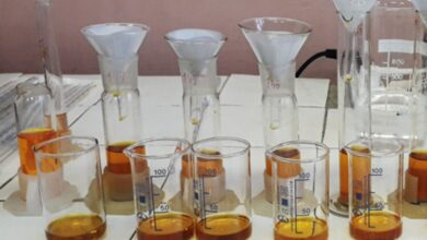 Photo of Геохимический анализ грунтов