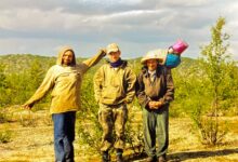 Photo of Геологический каталог земельных ресурсов