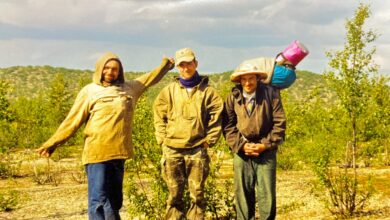 Photo of Геологический каталог земельных ресурсов