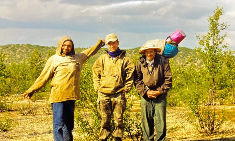 Photo of Геологический каталог земельных ресурсов