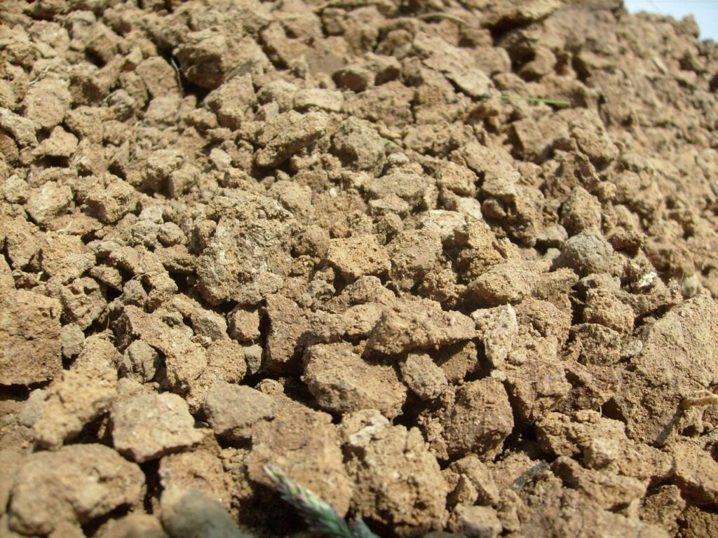 Фото 35 — Почвенный грунт: типы и свойства