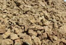 Photo of Почвенный грунт: типы и свойства