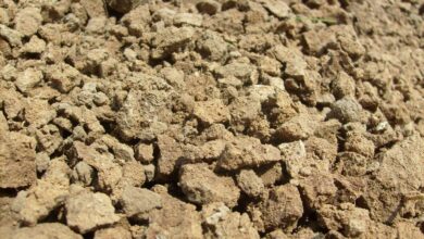 Photo of Почвенный грунт: типы и свойства