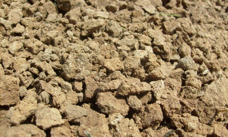 Photo of Почвенный грунт: типы и свойства