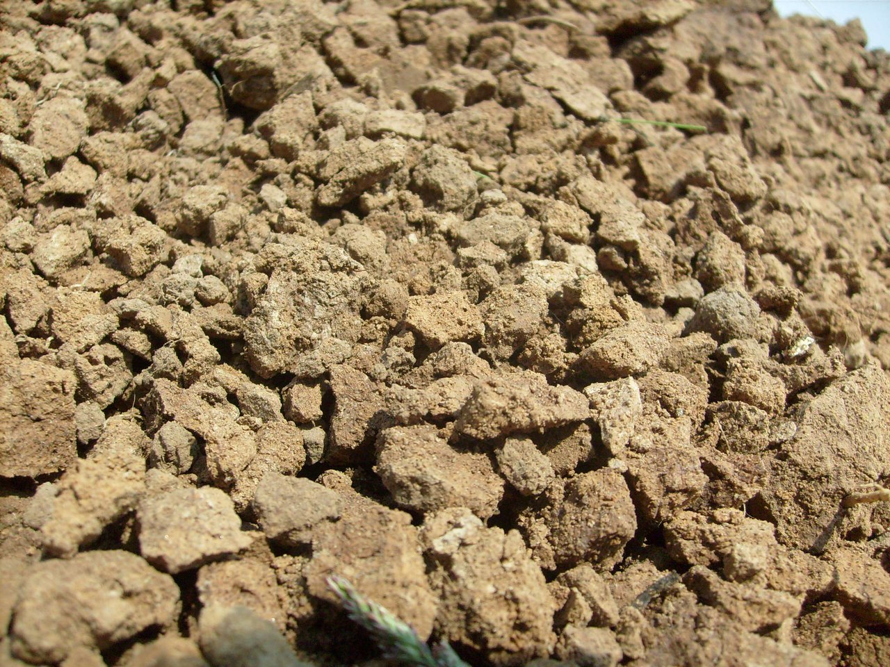 Фото 35 — Почвенный грунт: типы и свойства