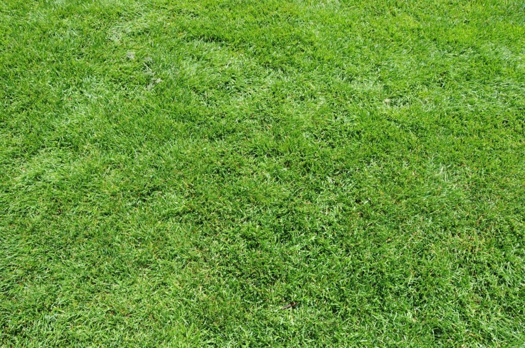 Фото 26 — Исследование твердых грунтов