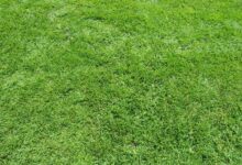 Photo of Исследование твердых грунтов