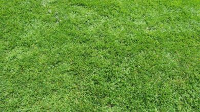 Photo of Исследование твердых грунтов