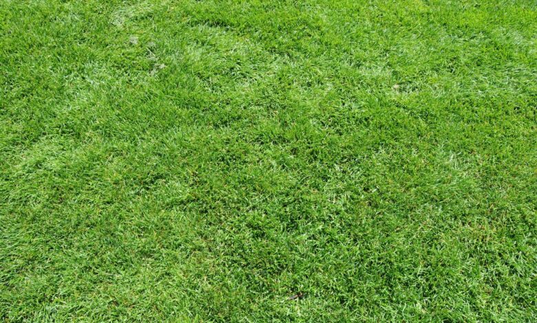 Photo of Исследование твердых грунтов