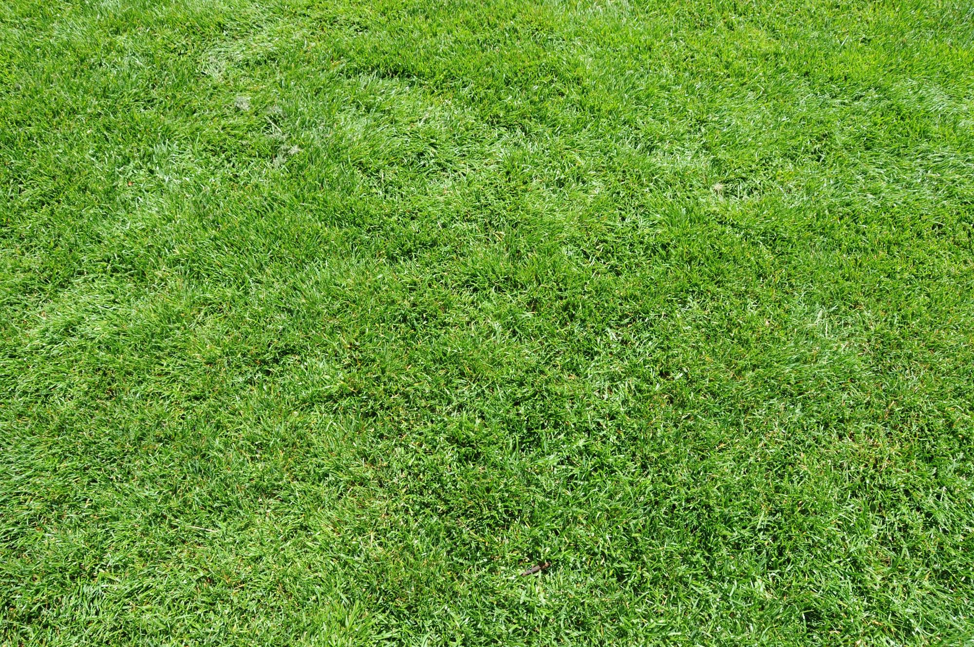 Фото 26 — Исследование твердых грунтов