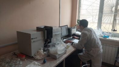 Photo of Исследование супесчаных почв