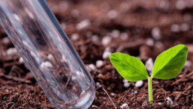 Photo of Геохимический анализ воды и почвы