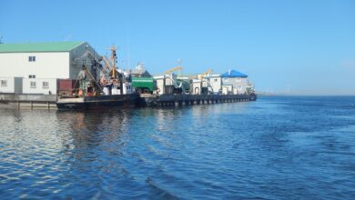 Photo of Геологическое обследование речного дна