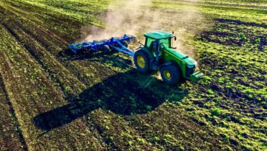 Photo of Почвенные исследования для сельского хозяйства