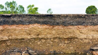 Photo of Твердые грунты: их исследование