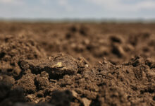 Photo of Глинистый грунт: особенности и свойства