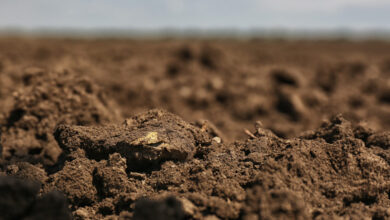 Photo of Глинистый грунт: особенности и свойства