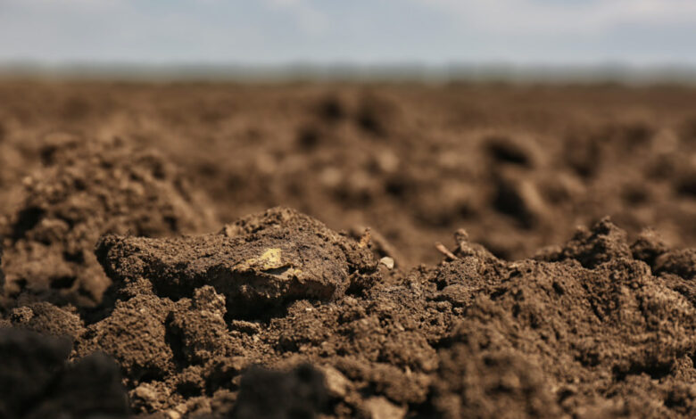 Photo of Глинистый грунт: особенности и свойства