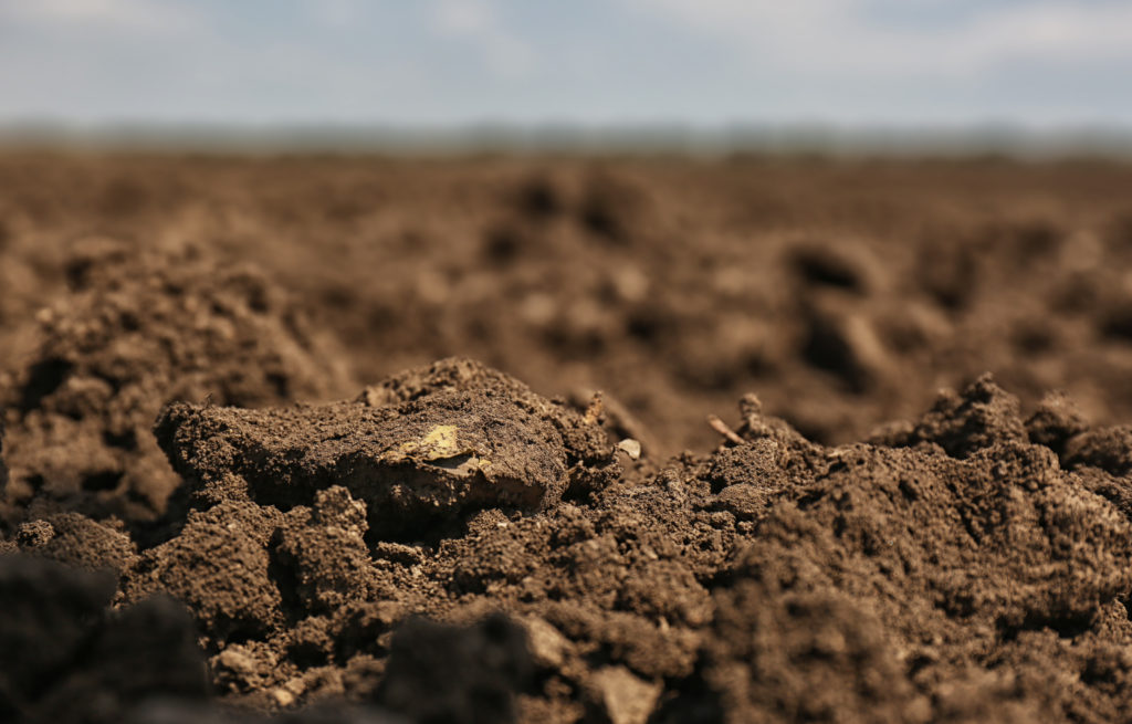 Фото 22 — Глинистый грунт: особенности и свойства