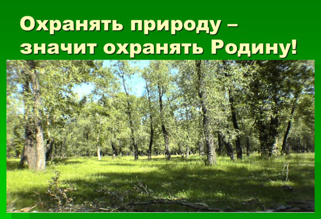 Фото 58 — Почвенные исследования для охраны природы