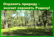 Photo of Почвенные исследования для охраны природы