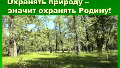 Photo of Почвенные исследования для охраны природы