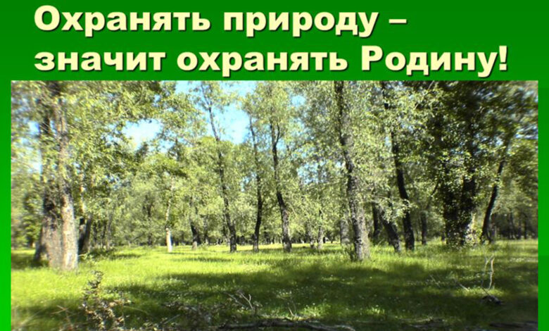 Photo of Почвенные исследования для охраны природы