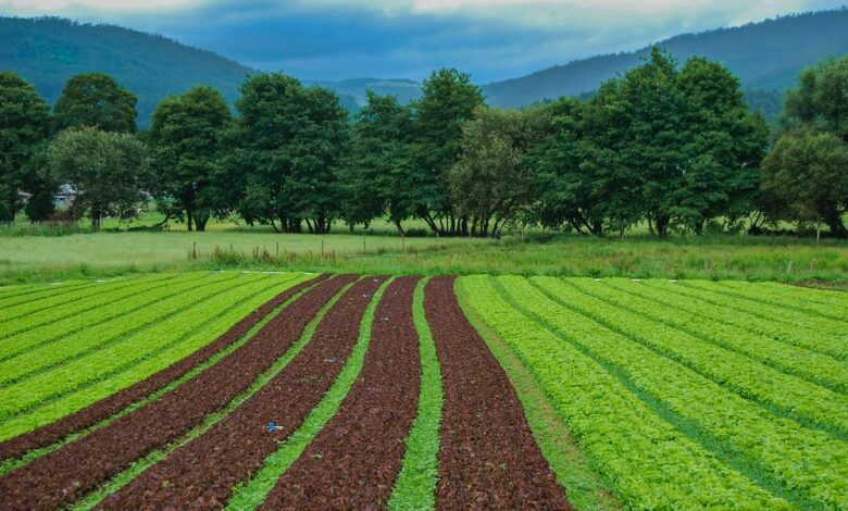 Photo of Грунтовые исследования для земледелия