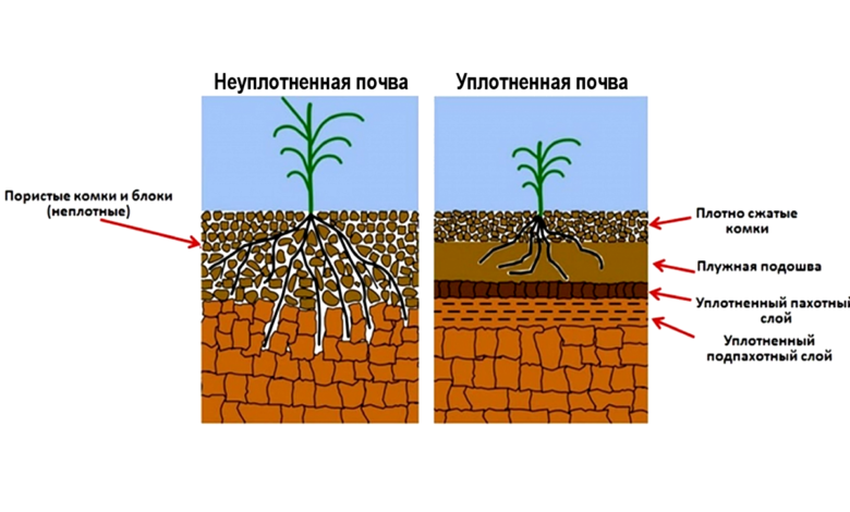 Photo of Исследование торфяных почв