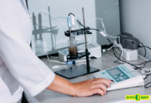 Photo of Исследование песчаных почв