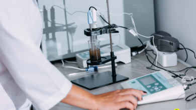 Photo of Исследование песчаных почв