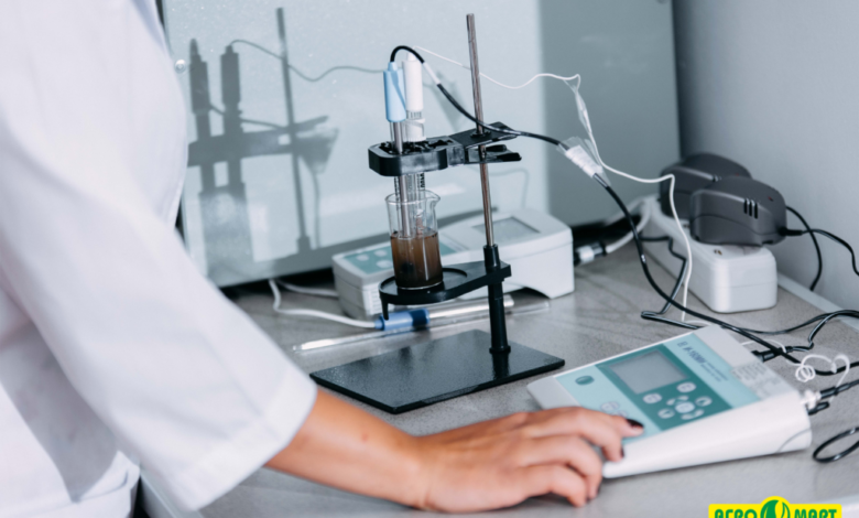 Photo of Исследование песчаных почв