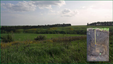 Photo of Почвенные исследования для водохозяйственных работ