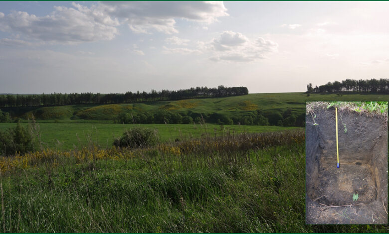Photo of Почвенные исследования для водохозяйственных работ