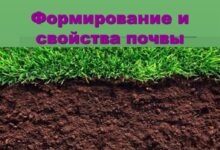 Photo of Глинистые почвы: их структура и свойства