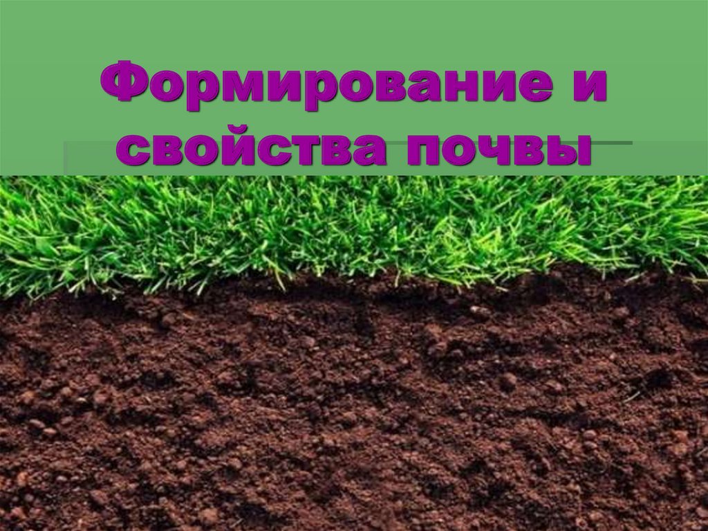 Фото 75 — Глинистые почвы: их структура и свойства