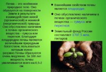 Photo of Глинисто-песчаные почвы: свойства и классификация