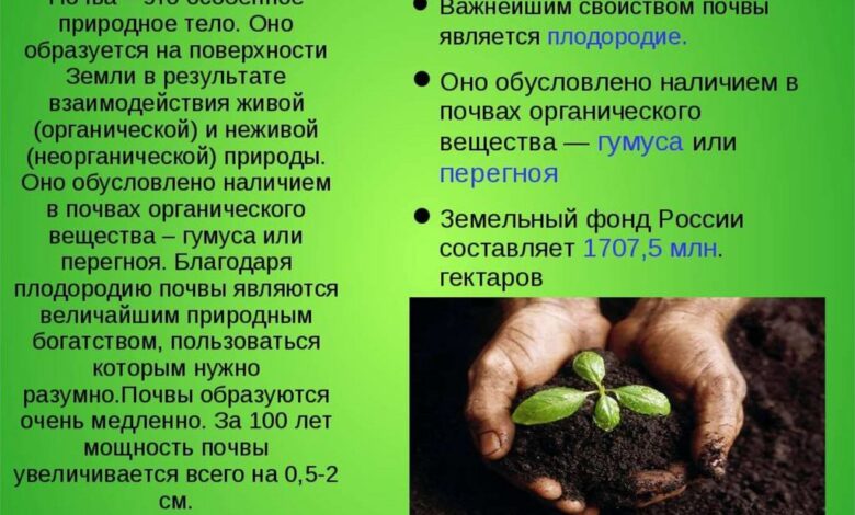 Photo of Глинисто-песчаные почвы: свойства и классификация