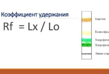 Photo of Исследование влагоемких почв