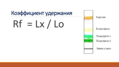 Photo of Исследование влагоемких почв